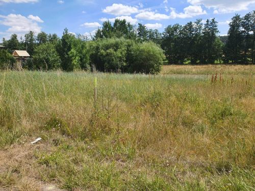 Bauplatz in 97688 Bad Kissingen-Albertshausen (ID 1028) - Grundstück Bad Kissingen Bad Kissingen | Angebot:25274732