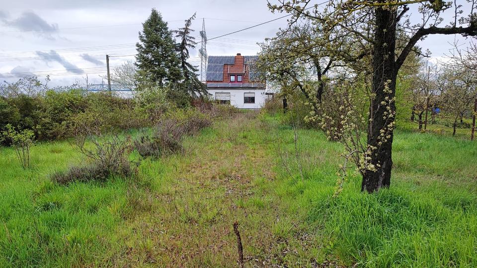 Einfamilienhaus Schweinfurt Bellevue - 5 Zimmer, 20 m&sup2;, 90.000&euro; | Angebot:26043451