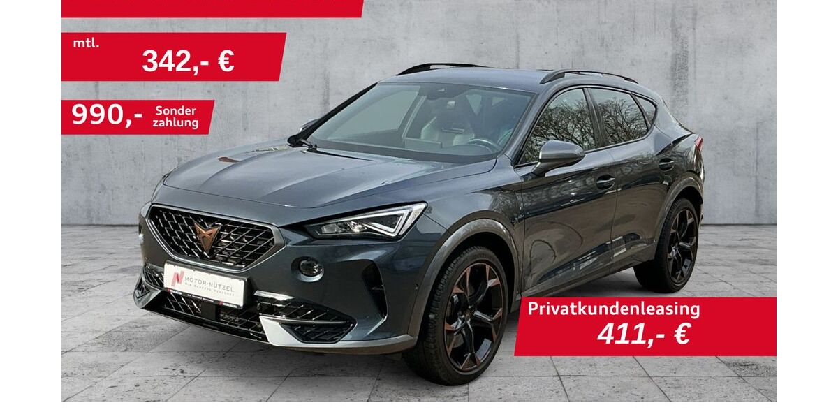 Cupra Formentor 41.169 km 25.450 &euro; Werneck 97440