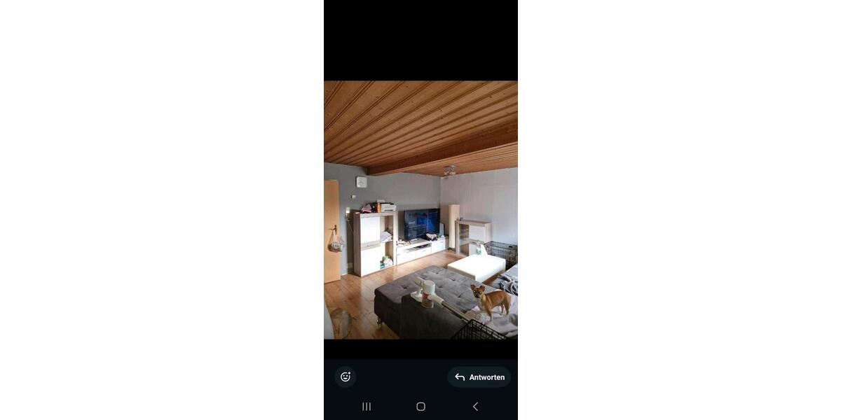 Einfamilienhaus Schweinfurt Gartenstadt - 8 Zimmer, 196 m&sup2;, 1.000&euro; | Angebot:26266110