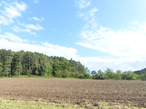 Schicke, möblierte 2-Zimmer-Mietwohnung mit herrlichem Blick in 97720 Nüdlingen Bad Kissingen (ID 1311) - Etagenwohnung Nüdlingen Nüdlingen | Angebot:24296136