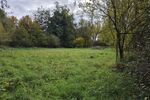 Einfamilienhaus mit grüner Oase, Gärten, Garagentrakt und Scheune in 97453 Schonungen-Hausen (ID 10609) - Einfamilienhaus Schonungen Schonungen | Angebot:26439863