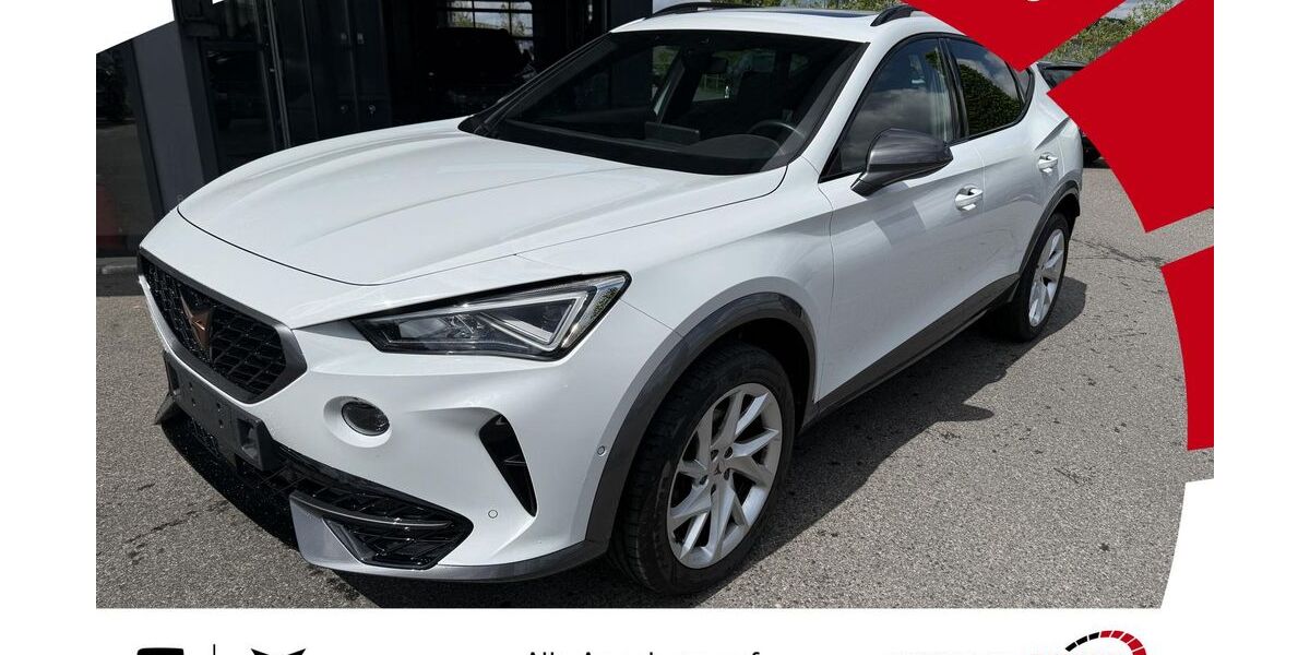 Cupra Formentor 68.350 km 27.490 &euro; Werneck 97440