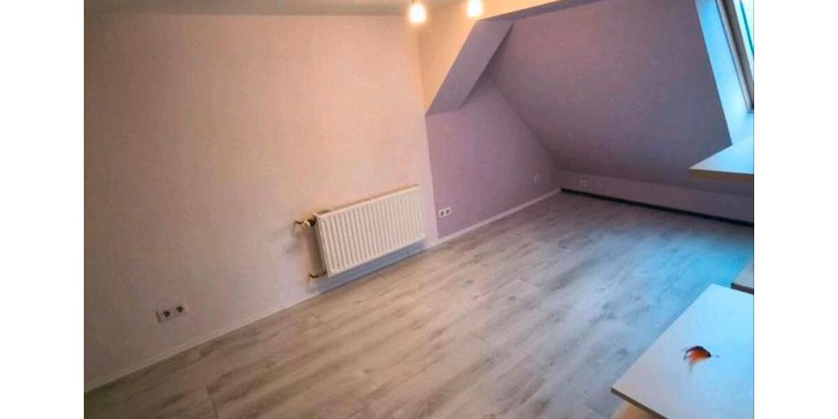 Einfamilienhaus Rauhenebrach - 8 Zimmer, 250 m&sup2;, 220.000&euro; | Angebot:27083530