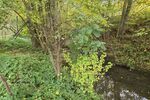 Einfamilienhaus mit grüner Oase, Gärten, Garagentrakt und Scheune in 97453 Schonungen-Hausen (ID 10609) - Einfamilienhaus Schonungen Schonungen | Angebot:26439863
