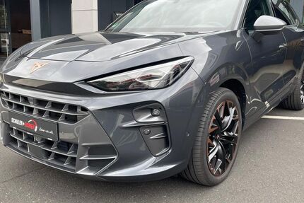 Cupra Terramar 18.500 km 44.990 &euro; Werneck 97440