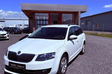 Skoda Octavia 110.000 km 9.999 &euro; Salz 97616