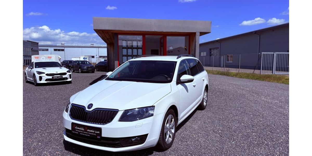 Skoda Octavia 110.000 km 9.999 &euro; Salz 97616