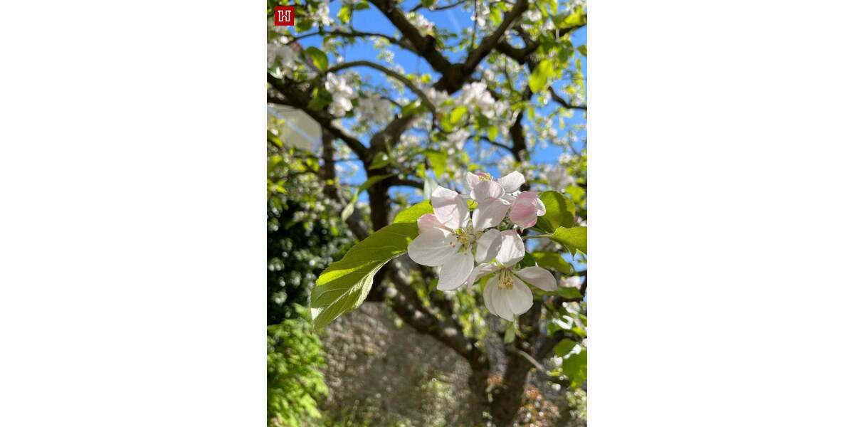 Einfamilienhaus Kolitzheim Unterspiesheim - 9 Zimmer, 193 m&sup2;, 495.000&euro; | Angebot:25821399