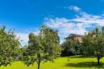 Grundstück Haßfurt Oberhohenried - 130.000&euro; | Angebot:26930412
