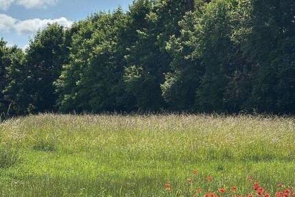 Grundstück Niederwerrn - 395.000&euro; | Angebot:26908395