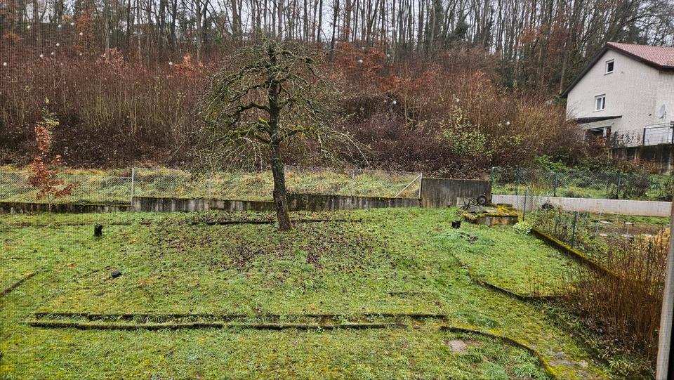 Einfamilienhaus Dittelbrunn - 450.000&euro; | Angebot:25962328