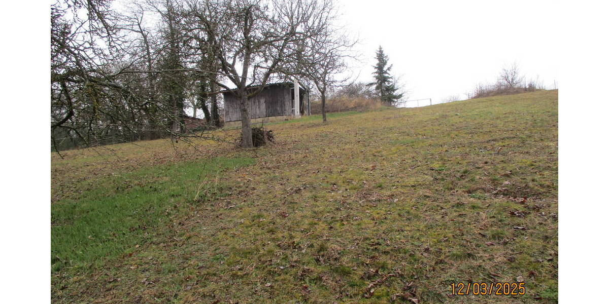 Mehrfamilienhaus, Wohnhaus Euerbach Obbach - 250.000&euro; | Angebot:25733221