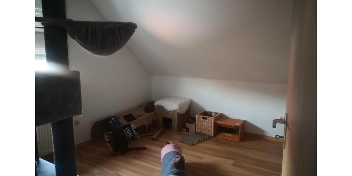 Dachgeschoßwohnung Nüdlingen - 3 Zimmer, 54 m&sup2;, 310&euro; | Angebot:25872187