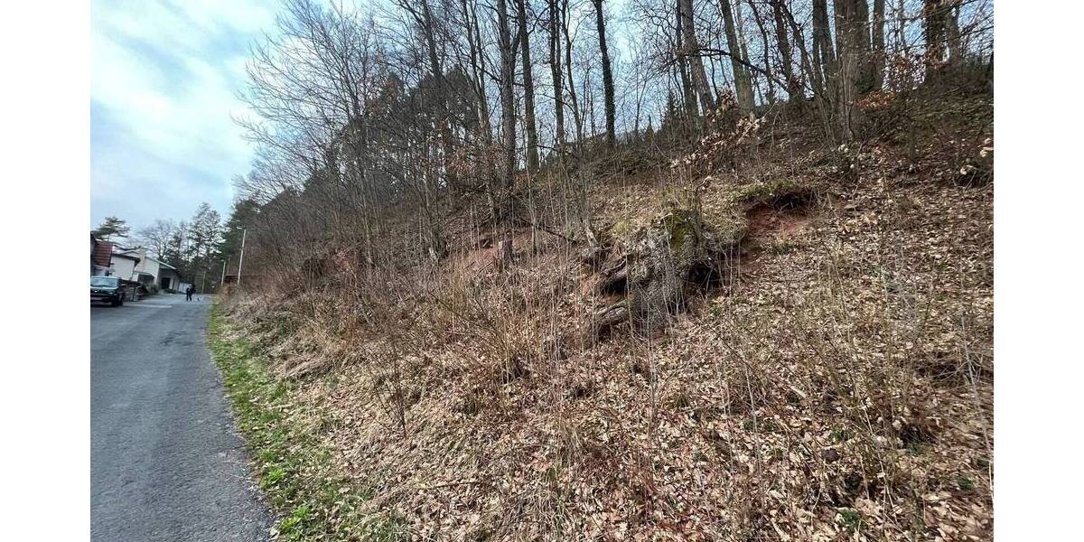 Grundstück Niederlauer Unterebersbach - 42.000&euro; | Angebot:25667688