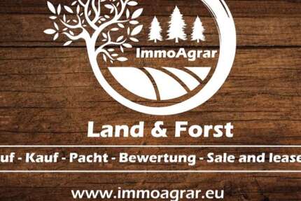 Grundstück Eßleben Eßleben - 28.000&euro; | Angebot:27595996