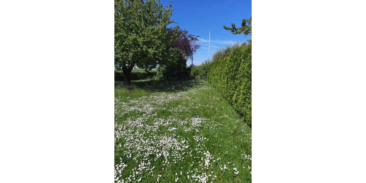 Grundstück Geldersheim - 531.000&euro; | Angebot:25733220