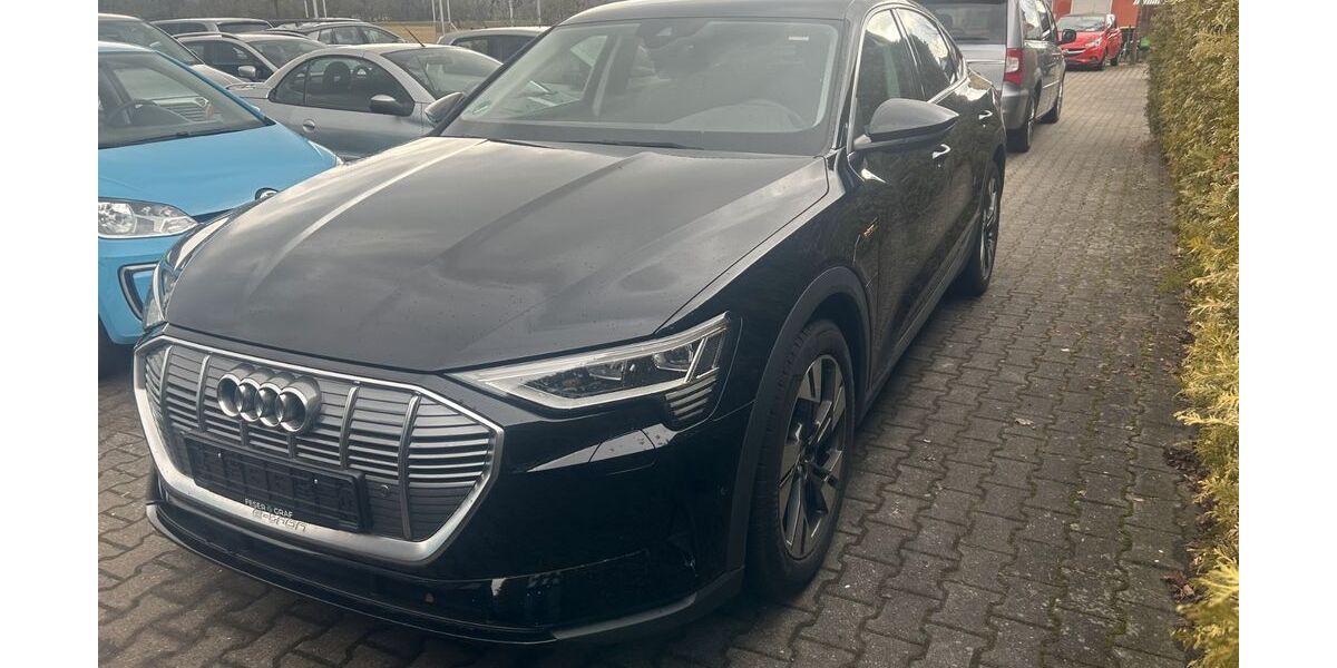 Audi e-tron 23.800 km 28.700 &euro; Niederlauer 97618