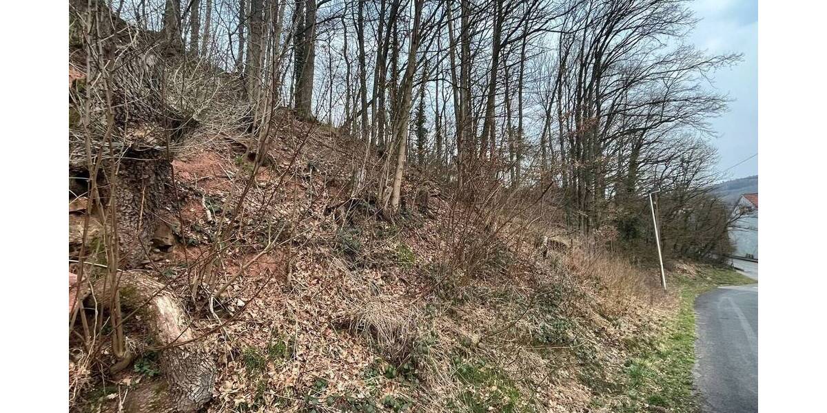 Grundstück Niederlauer Unterebersbach - 42.000&euro; | Angebot:25667688