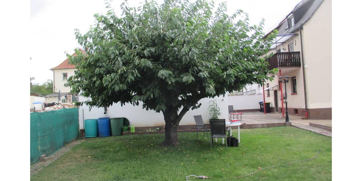 Mehrfamilienhaus, Wohnhaus Bergrheinfeld - 359.000&euro; | Angebot:25667686