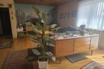 Einfamlienhaus mit Garten in 97262 HausenWürzburg (ID 10727) - Einfamilienhaus Hausen b. Würzburg Hausen b. Würzburg | Angebot:27330951