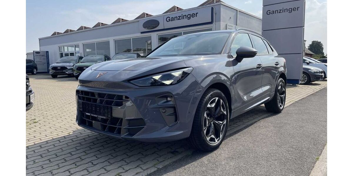 Cupra Terramar 3.002 km 40.990 &euro; Heidenfeld 97520