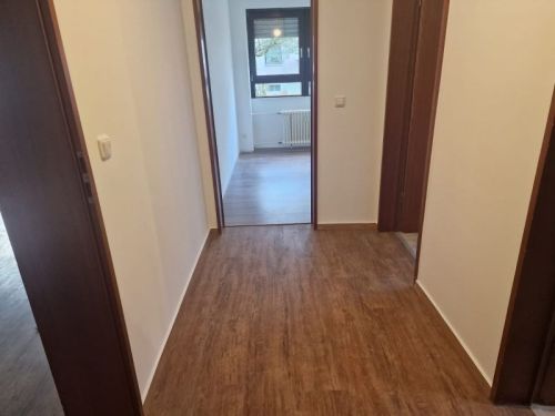 3-Zimmer-Eigentumswohnung mit Balkon und TGPl in 97422 Schweinfurt-Deutschhof (ID 10474) - Erdgeschoßwohnung Schweinfurt Schweinfurt | Angebot:22290583