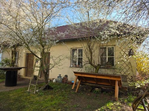 Herrschaftliches Anwesen in 97535 Wasserlosen-Schwemmelsbach Schweinfurt (ID 10549) - Einfamilienhaus Wasserlosen Wasserlosen | Angebot:25767018