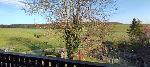 Romantisches Einfamilienhaus mit hochwertiger Ausstattung in ruhiger Randlage von 97450 Arnstein-Neubessingen (ID 10040) - Einfamilienhaus Arnstein Arnstein | Angebot:25387561