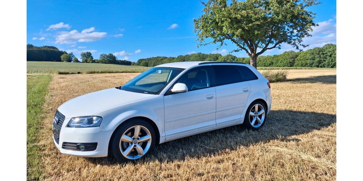Audi A3 175.000 km 3.950 &euro; Hassenbach 97723