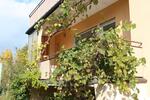 Etagenwohnung Münnerstadt - 2 Zimmer, 78 m&sup2;, 600&euro; | Angebot:26612625