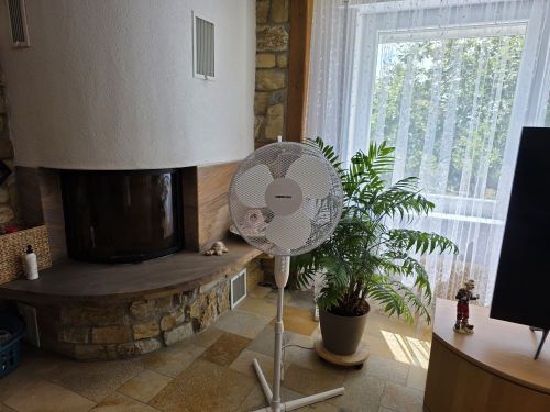 Firmensitz Kapitalanlage Mehrfamilienahus + Einfamilenhaus + große Lagerhalle + große Außenhalle, Garagen, in 97723 Oberthulba-Schlimpfhof (ID 10575) - Mehrfamilienhaus, Wohnhaus Oberthulba Oberthulba | Angebot:22658076