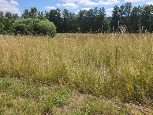 Bauplatz in 97688 Bad Kissingen-Albertshausen (ID 1028) - Grundstück Bad Kissingen Bad Kissingen | Angebot:25274732