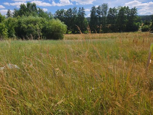 Bauplatz in 97688 Bad Kissingen-Albertshausen (ID 1028) - Grundstück Bad Kissingen Bad Kissingen | Angebot:25274732