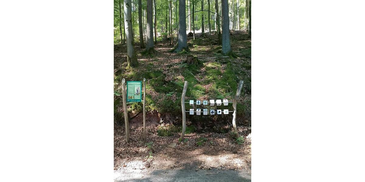 Etagenwohnung Burkardroth - 4 Zimmer, 126 m&sup2;, 60&euro; | Angebot:25636562