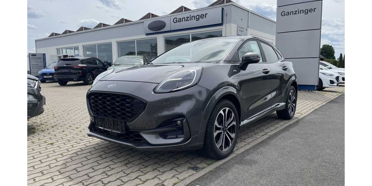Ford Puma 54.660 km 14.990 &euro; Heidenfeld 97520