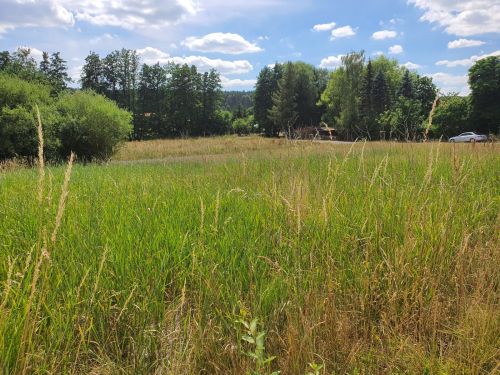 Bauplatz in 97688 Bad Kissingen-Albertshausen (ID 1028) - Grundstück Bad Kissingen Bad Kissingen | Angebot:25274732