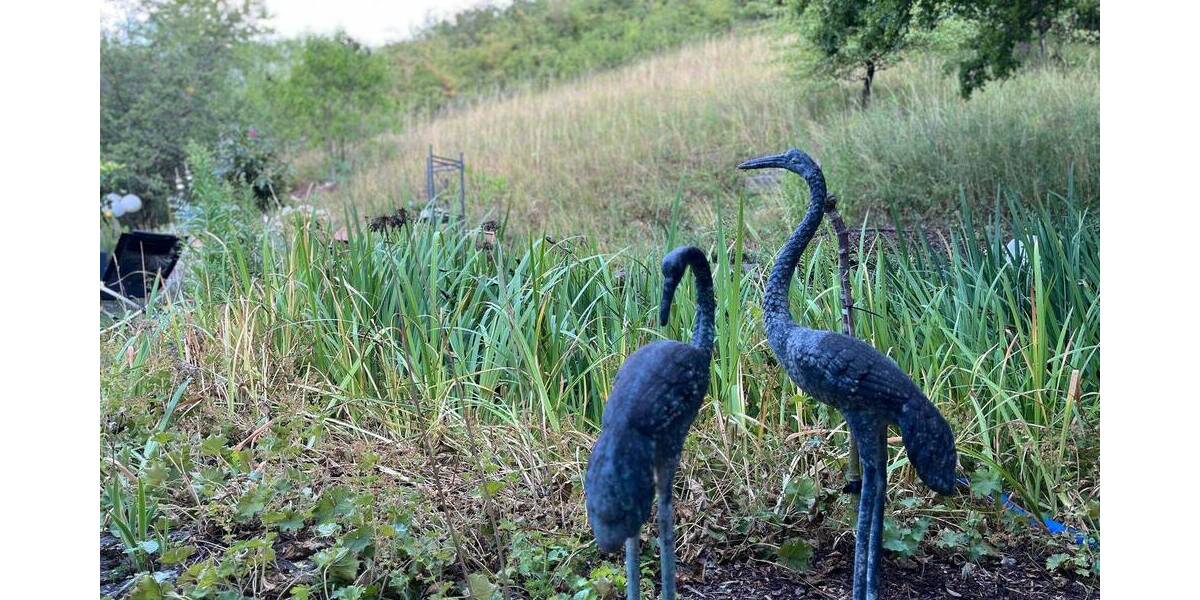 Einfamilienhaus Retzstadt - 6 Zimmer, 226 m&sup2;, 598.000&euro; | Angebot:25997020