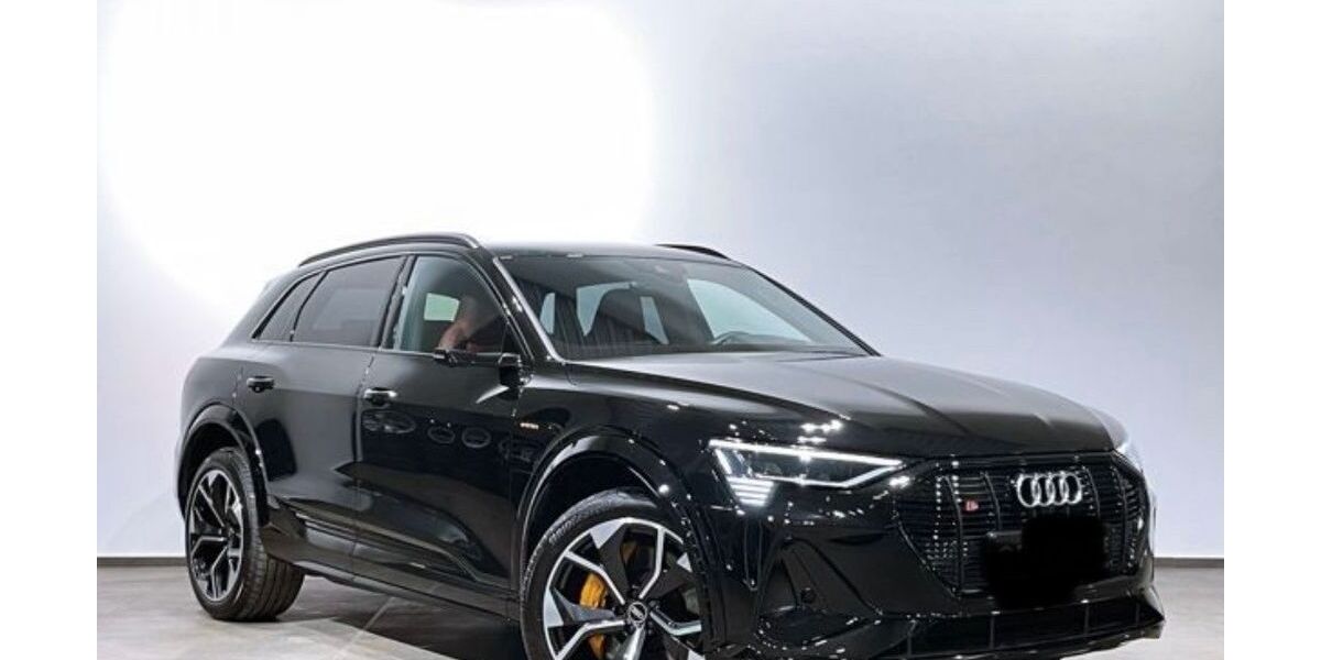 Audi e-tron 59.115 km 38.500 &euro; Schonungen 97453