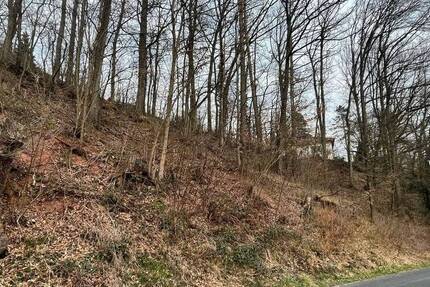 Grundstück Niederlauer Unterebersbach - 42.000&euro; | Angebot:25667688