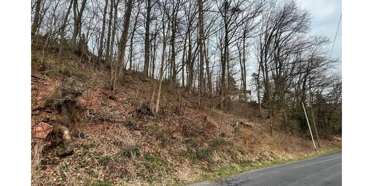 Grundstück Niederlauer Unterebersbach - 42.000&euro; | Angebot:25667688