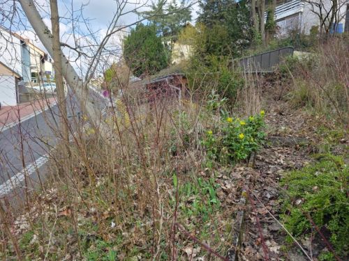 7-Familienhaus in 97456 Dittelbrunn (ID 10631) - Mehrfamilienhaus, Wohnhaus Dittelbrunn Dittelbrunn | Angebot:25239396