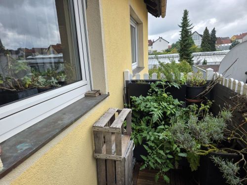 2-Familien-Haus in 97534 Waigolshausen (ID 10034) - Mehrfamilienhaus, Wohnhaus Waigolshausen Waigolshausen | Angebot:23084048