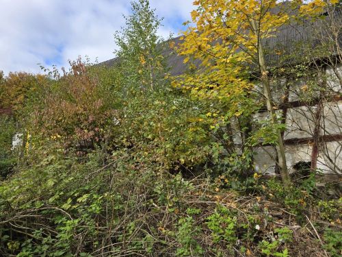 Einfamilienhaus mit grüner Oase, Gärten, Garagentrakt und Scheune in 97453 Schonungen-Hausen (ID 10609) - Einfamilienhaus Schonungen Schonungen | Angebot:26439863