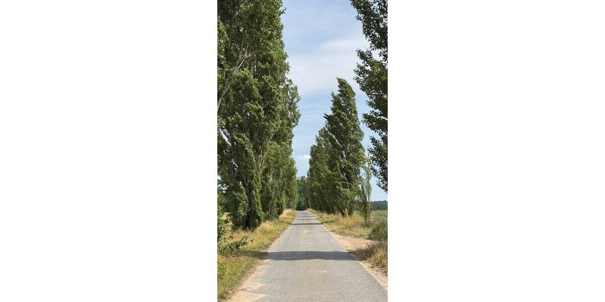 Einfamilienhaus Volkach Rimbach - 6 Zimmer, 200 m&sup2;, 1.690&euro; | Angebot:25736615