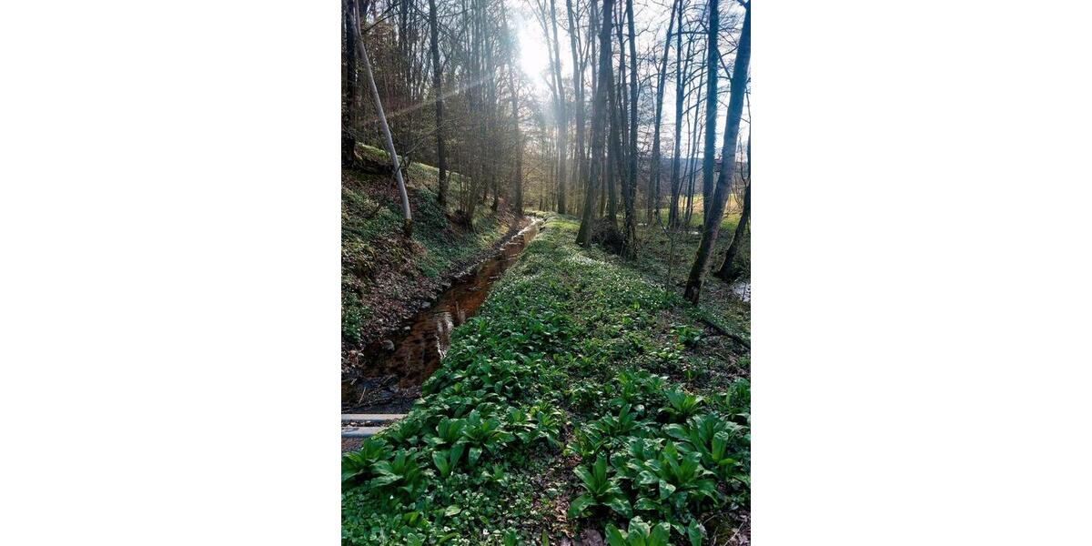 Mehrfamilienhaus, Wohnhaus Oberthulba - 370.000&euro; | Angebot:26721431