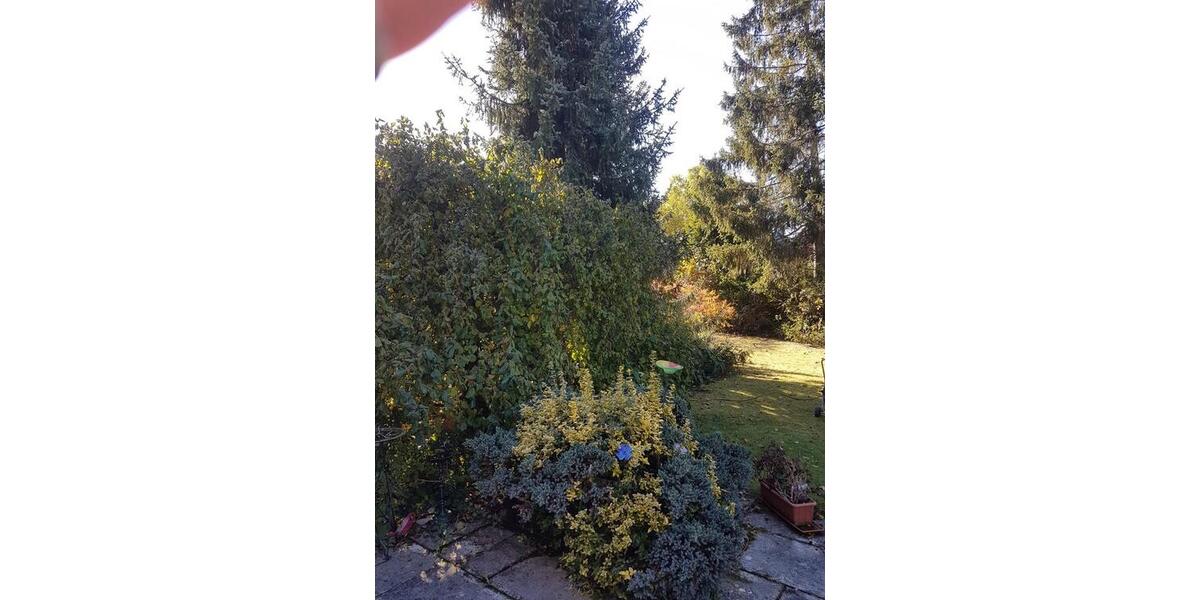 Einfamilienhaus Schweinfurt Bellevue - 3 Zimmer, 90 m&sup2;, 220.000&euro; | Angebot:25900546