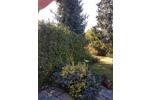 Einfamilienhaus Schweinfurt Bellevue - 3 Zimmer, 90 m&sup2;, 220.000&euro; | Angebot:25900546