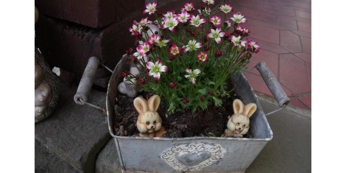 Erdgeschoßwohnung Bad Bocklet - 2 Zimmer, 77 m&sup2;, 550&euro; | Angebot:25857771