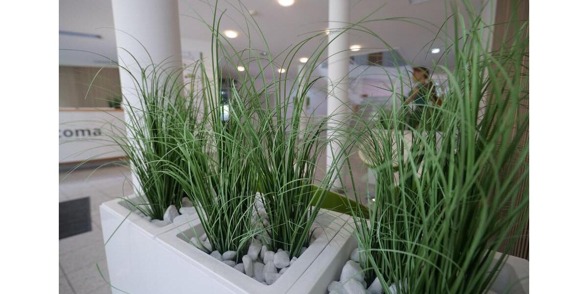 Gewerbeobjekt Zeil am Main - 12&euro; | Angebot:12147482